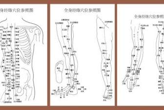 Meridian Akupunkturpunkte Mit Bezug Auf Die Körper-Karte