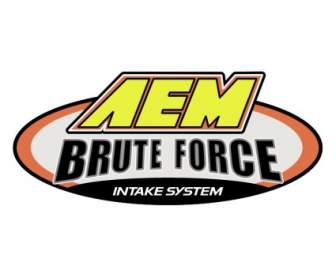 AEM-brute-force