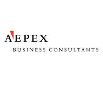 Aepex 비즈니스 컨설턴트