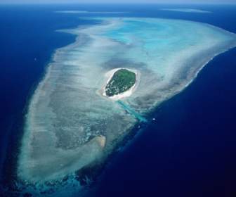 Aerial Of Heron Island Wallpaper Australia World