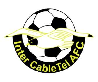 Afc Inter Cable Tel Cardiff
