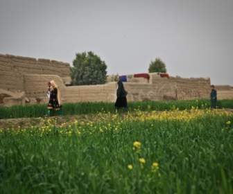 afghanistan farm woman