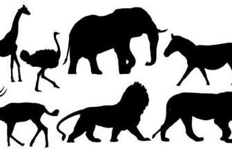 الحيوانات الأفريقية
