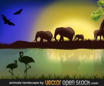 Afrikanische Landschaft Mit Tieren