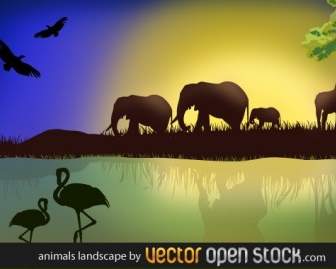 الساحة الأفريقية مع الحيوانات