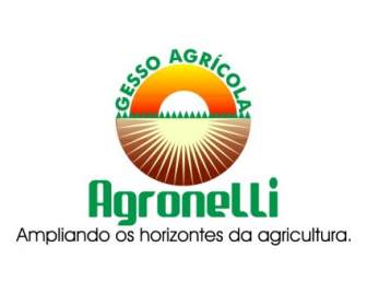 Agronelli 石膏 Agricola