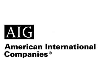 美国国际集团 (aig)