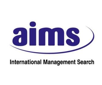 Ziele-internationale Management-Suche