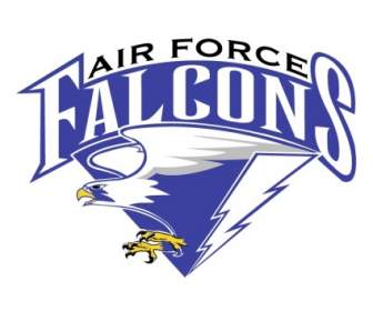 Falcons Angkatan Udara
