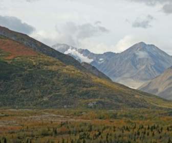 Montañas De Bosque De Alaska