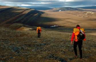 Alaska Wilderness Tundra