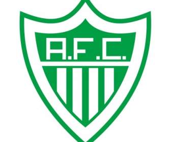 Alfenense Futebol クラブドラゴ デ Alfenas Mg