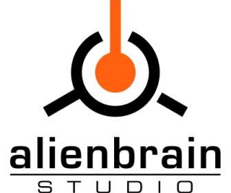 Alienbrain студия