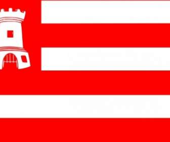 Alkmaar Flag Clip Art