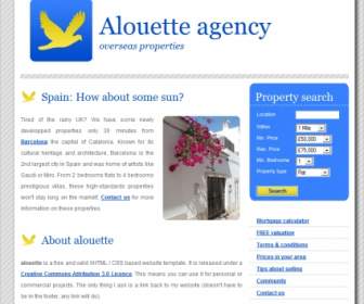 Alouette Agency Template