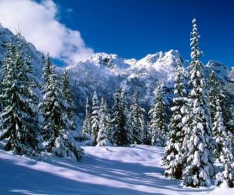 Natureza De Inverno Lagos Alpinos Natureza Papel De Parede