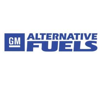Combustibili Alternativi