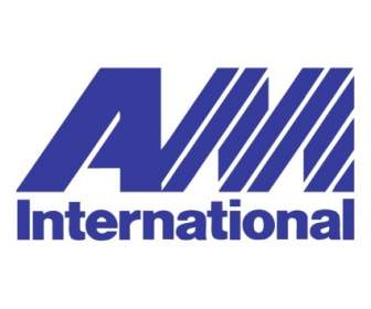 Am International