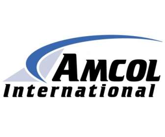 国際 Amcol