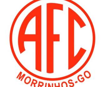 ไปอเมริกา Futebol Clube De Morrinhos