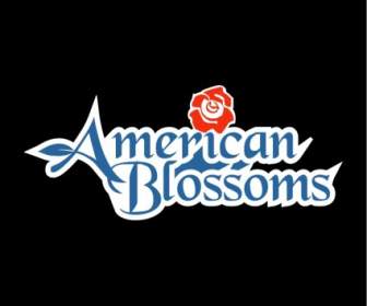 American Blossoms