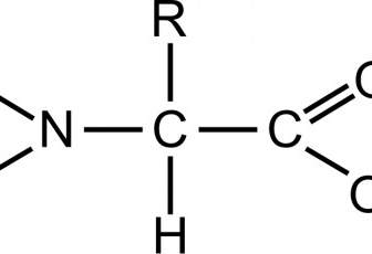 一般的なアミノ酸