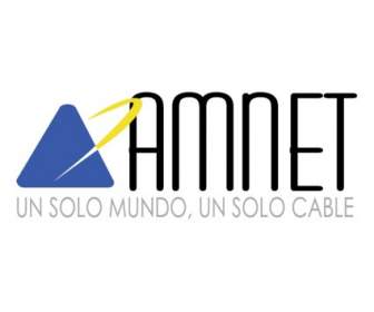 Amnet