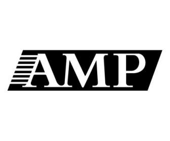 Amp