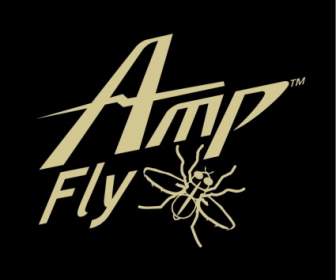 Fly Amp