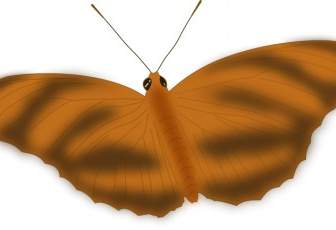 Эфирная бабочка