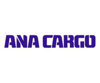 Ana Cargo