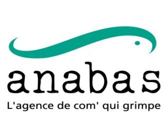 Anabas