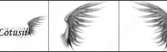 Angelic Wings Brush