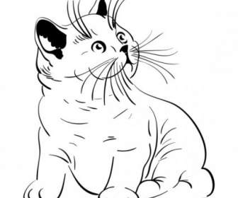 Animal Cat Vector