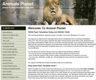 Animal Planet Template