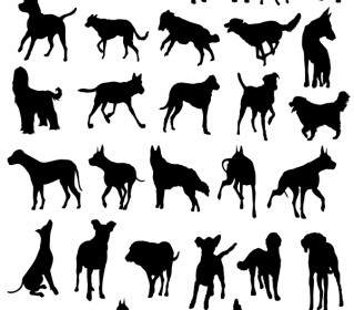 Vector Silhouettes Animales