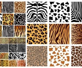 Animal Skin Texture Vector Background