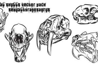Crânes Animales Vector Pack