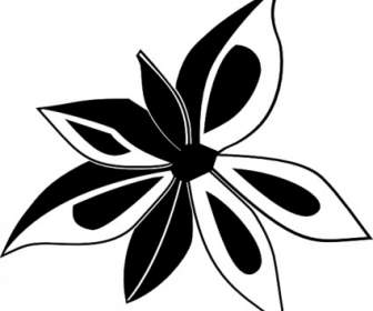 Anise Plant Clip Art