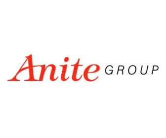 Anite 그룹
