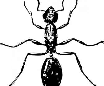 Ant のクリップアート