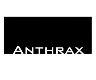 ántrax