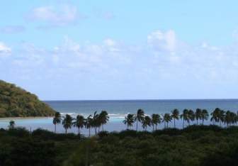 安提瓜加勒比海