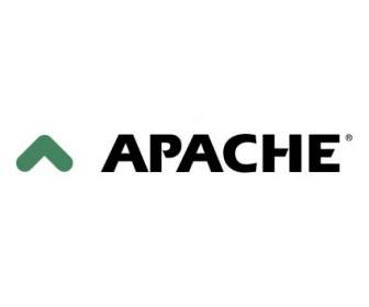 Apache-Medien