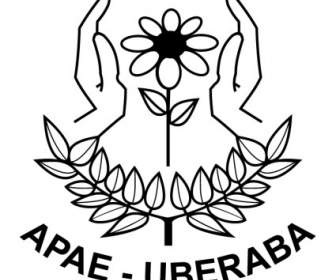 Apae 우베 라바