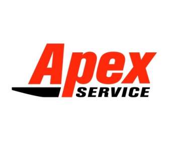 Servicio De Apex