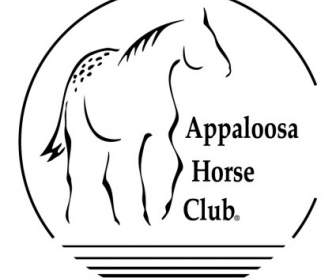 Аппалуза лошадь клуб