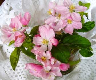 Apfel Blüte Blume Arrangment