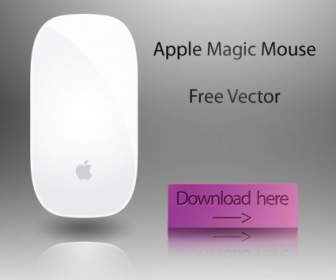 Vector Magic Mouse Di Apple