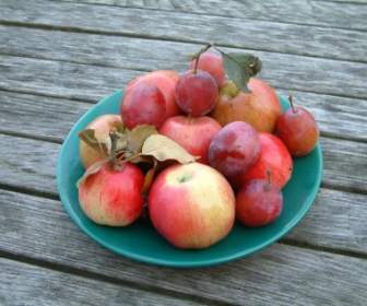 Apfel-Pflaumen-Obst